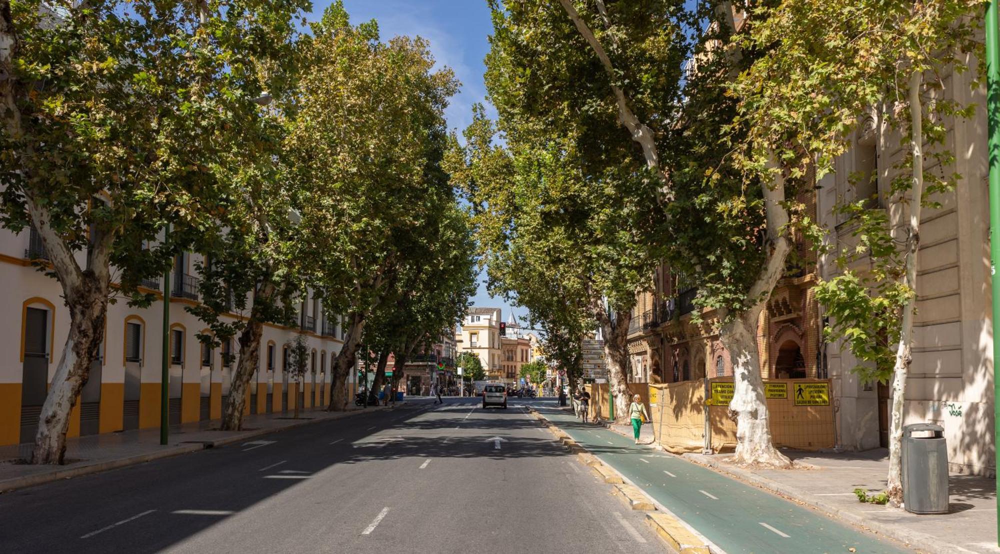 Charming 2 Bedroom Apartment At Sevilla City Center By Ocityzen Exterior photo